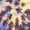 alex_alcaraz